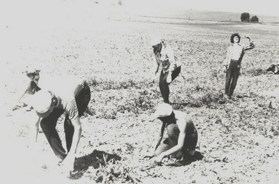 Описание: http://s5.klimovsk.mosreg.fcior.edu.ru/about/history/8_mini.jpg